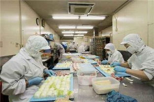 净化装修供应商,价格,净化装修批发市场 