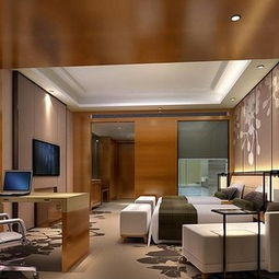 绵阳红专效果图 专业商务酒店室内外装饰装修探索